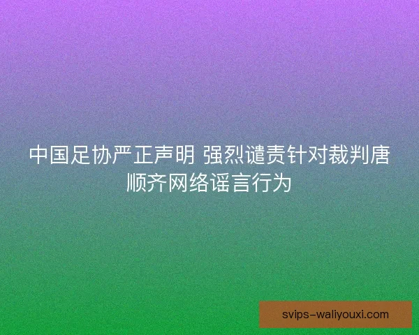 中国足协严正声明 强烈谴责针对裁判唐顺齐网络谣言行为